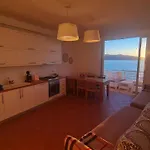 Apartament Barracuda