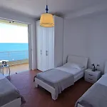 Barracuda *