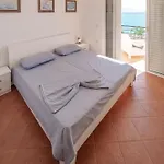 Barracuda Saranda